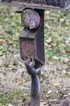 Grey squirrel and pheasant, WWT Washington 