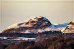 The volcanic plug of Dumgoyne