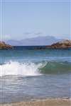Rum from Coll
