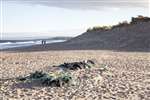 Lost fishing net and sand dunes, Lossiemouth beach