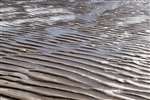 Ripples on a sand bank, Scapa Bay, Orkney