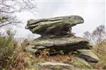 Brimham Rocks, Nidderdale, North Yorkshire