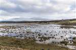 Flooded Insh Marshes, Kingussie, Speyside