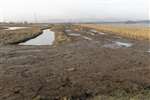 Mud flats and sea wall, Skinflats managed realignment project