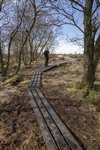 Bog Squad leader David Hill with a new board walk section at Braehead Moss