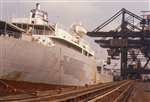 Bulk carrier unloading iron ore, General Terminus Quay, Glasgow, 1974