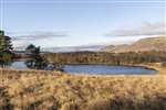 Arrochar Alps, Ben Lomond and the Campsie Fells from Loch Ardinning