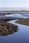 Mudflats and the outlet of the Kinneil lagoons, Firth of Forth