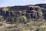 Lang Craigs cliffs above Overtoun Glen
