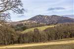 Ben Vrackie, farmland and woods near Pitlochry