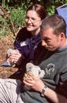 SWT staff with Peregrine Falcon chicks at the Falls of Clyde SWT Reserve