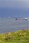 Bulk carrier in the Pentland Firth