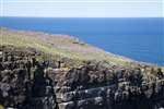 Cliffs on the north coast of Handa