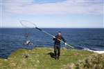 Catching Fulmars, Caithness