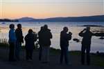 Wild Caledonia clients otter hunting at sunset, Salen