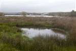 Broadwood Loch, Living Waters Project End Event, Cumbernauld