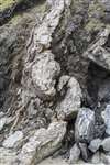 Folded metamorphic rocks