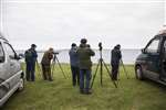 Argyll Bird Club members seawatching Gunna Sound