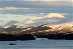 Ben Lomond and Inchcailloch