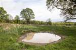 Ponds dug by Froglife, Muiravonside Country Park