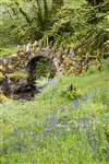 Fairy Bridge, Glen Creran