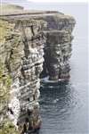 Noup Head, Westray cliffs