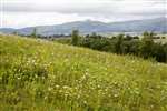 Ochil Hills, Stirlingshire
