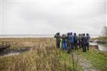 Wader and Wildfowl ID course