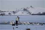 Photographer and swans on iced over Castle Semple Loch, Lochwinnoch