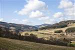 Tweed valley near Thornielee