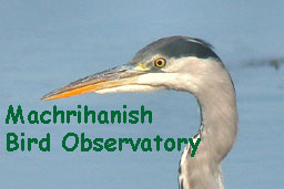 Machrihanish Bird Observatory